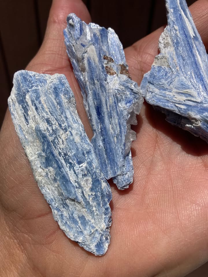 PROMO Pack 5 Cianitas Azules