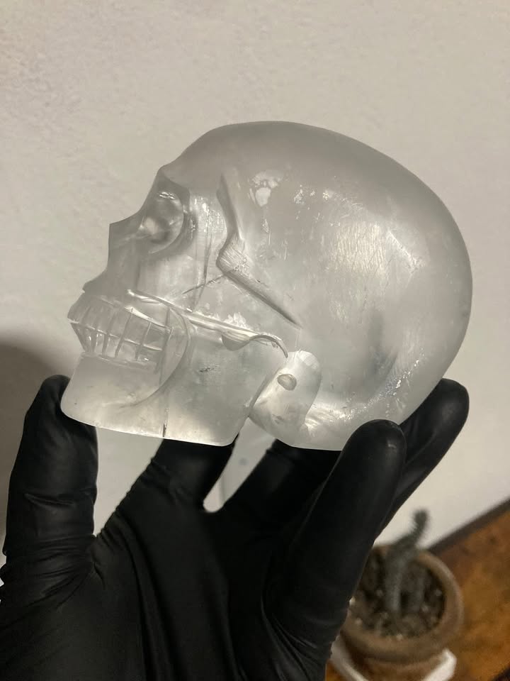 Craneo de Selenita