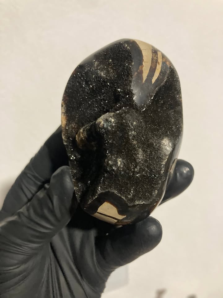 Huevo de drusa Septaria negra