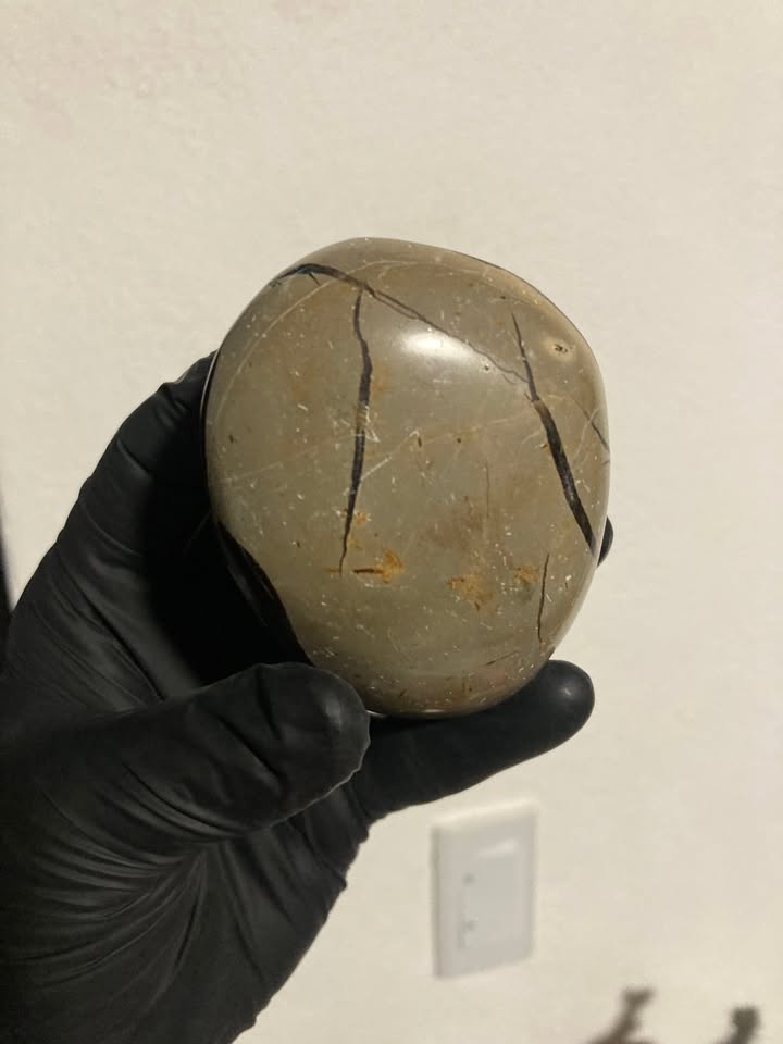 Huevo de drusa Septaria negra