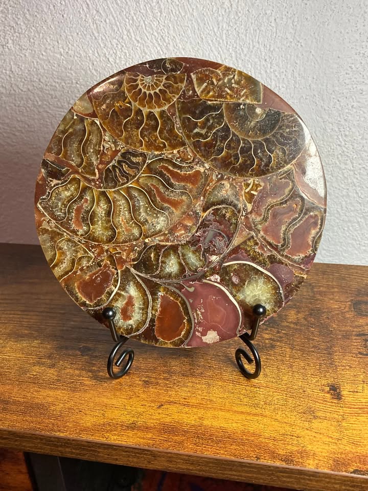 💎✨Mosaico de Amonitas Fosilizadas (Incluye base metálica)