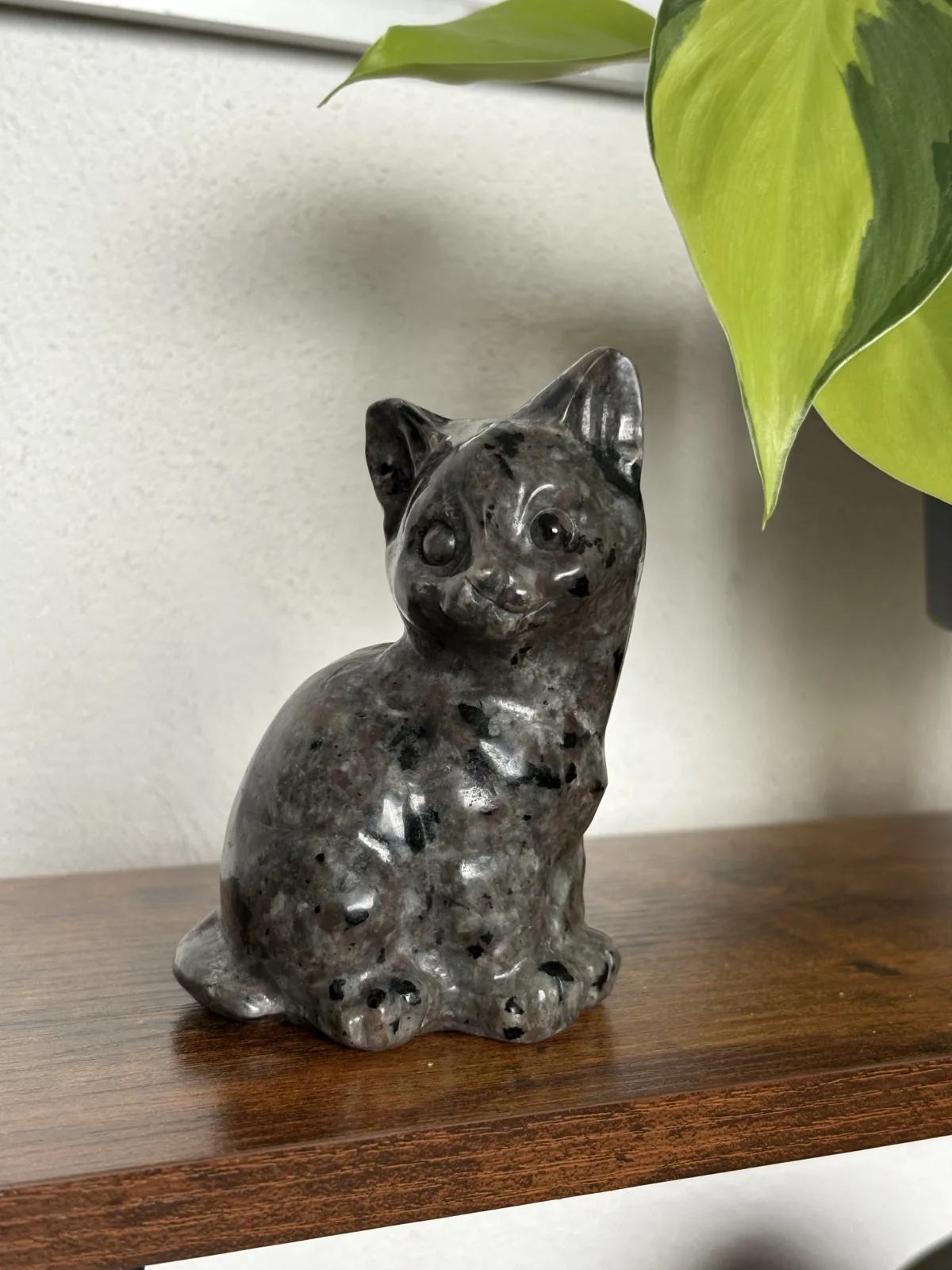 🐱 Gato de Yooperlita ✨🌌