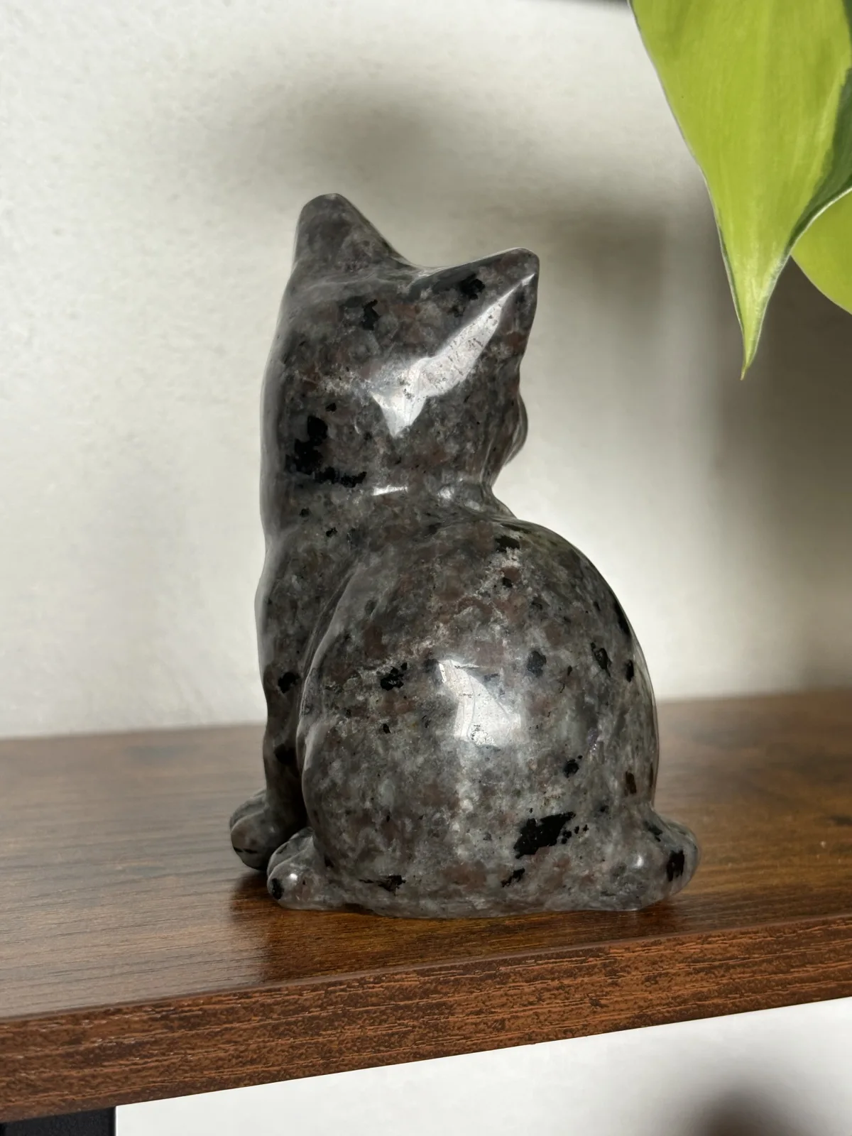 🐱 Gato de Yooperlita ✨🌌